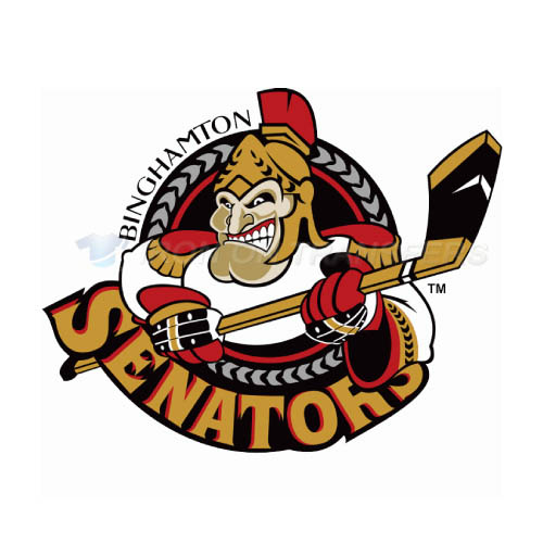 Binghamton Senators Iron-on Stickers (Heat Transfers)NO.8976